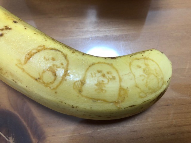 幼児向け 身近なもので楽しめる親子でおもしろ実験 お絵かきバナナ